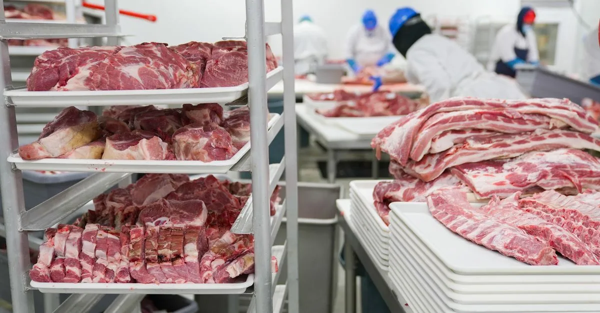 découvrez la certification fssc 22000, une norme internationale pour la gestion de la sécurité alimentaire, garantissant la qualité et la sécurité de vos produits tout au long de la chaîne d'approvisionnement.