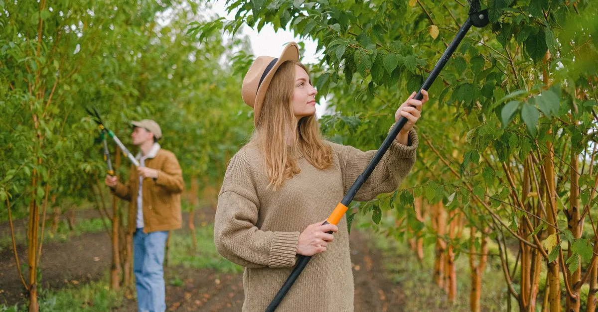 découvrez les meilleures techniques de taille pour entretenir vos plantes et arbres, favoriser leur croissance et améliorer leur santé.